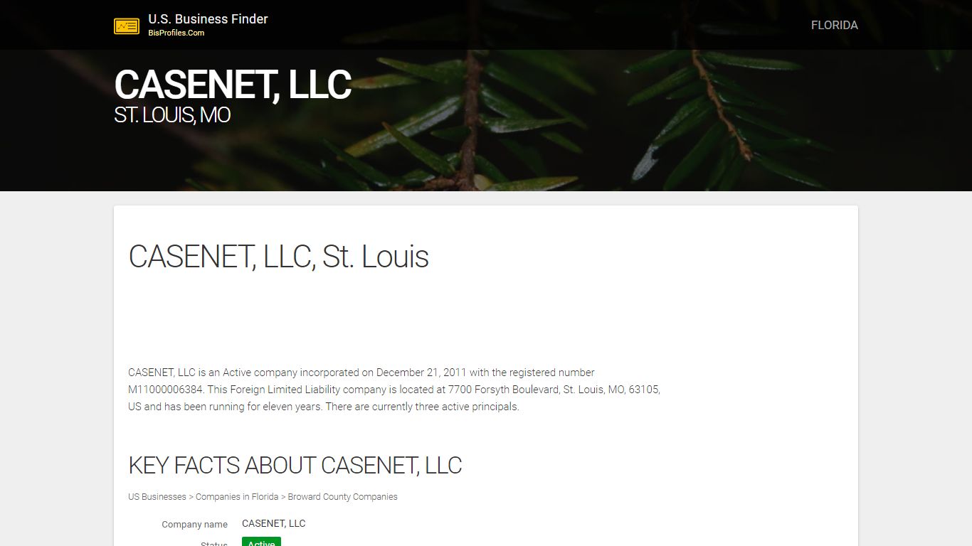 CASENET, LLC. St. Louis, MO - BisProfiles